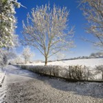 snow-road